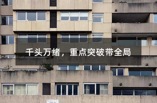 千头万绪,重点突破带全局