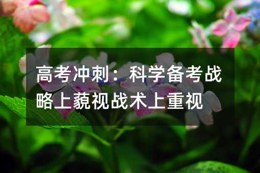 高考冲刺:科学备考战略上藐视战术上重视