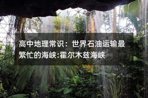 高中地理常识:世界石油运输最繁忙的海峡:霍尔木兹海峡
