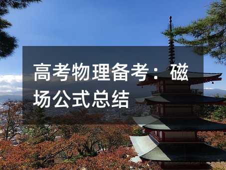 高考物理备考：磁场公式总结