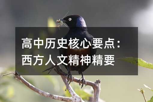 高中历史核心要点:西方人文精神精要
