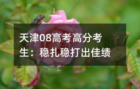天津08高考高分考生：稳扎稳打出佳绩
