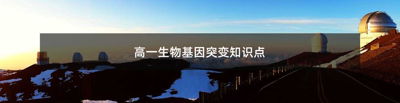 高一生物基因突变知识点
