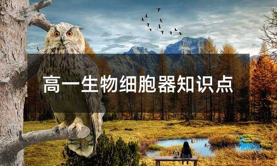高一生物细胞器知识点