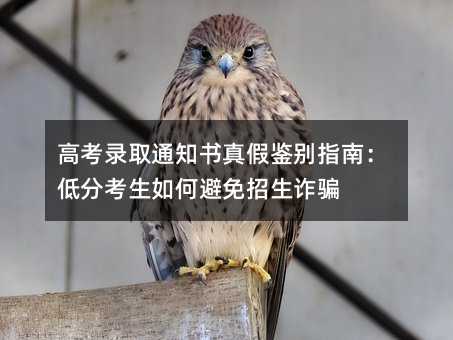 高考录取通知书真假鉴别指南:低分考生如何避免招生诈骗