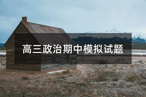 高三政治期中模拟试题