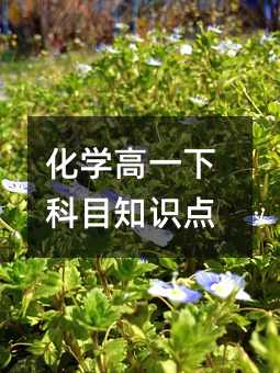 化学高一下科目知识点