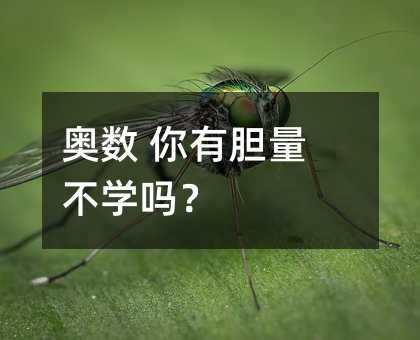 奥数 你有胆量不学吗?