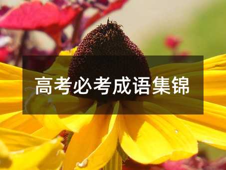 高考必考成语集锦