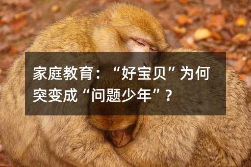 家庭教育:“好宝贝”为何突变成“问题少年”?