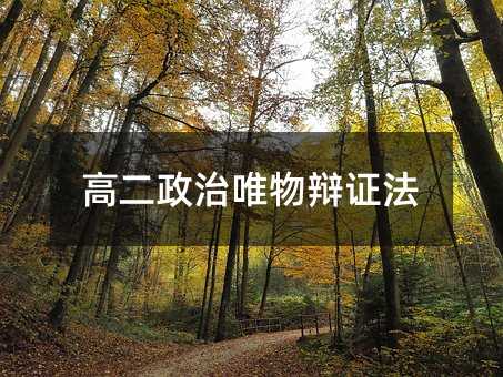 高二政治唯物辩证法