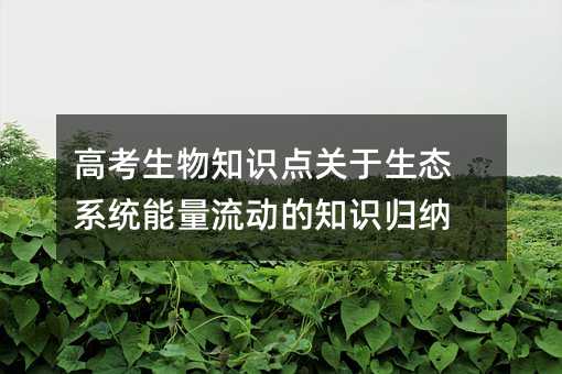 高考生物知识点关于生态系统能量流动的知识归纳