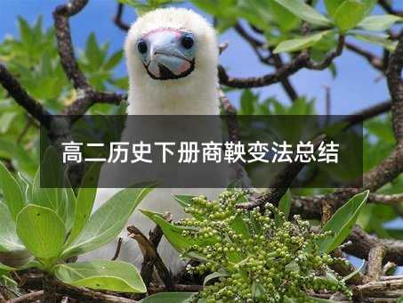高二历史下册商鞅变法总结
