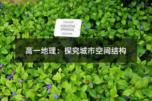高一地理：探究城市空间结构