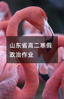 山东省高二寒假政治作业