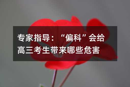专家指导:“偏科”会给高三考生带来哪些危害