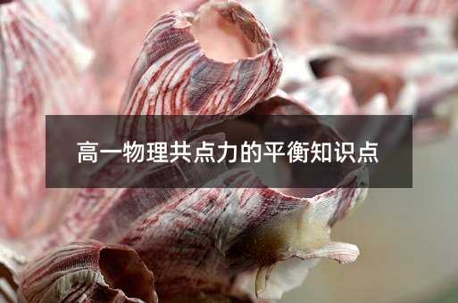 高一物理共点力的平衡知识点