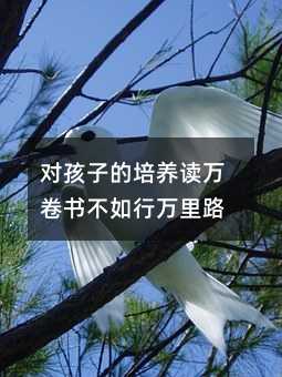 对孩子的培养读万卷书不如行万里路