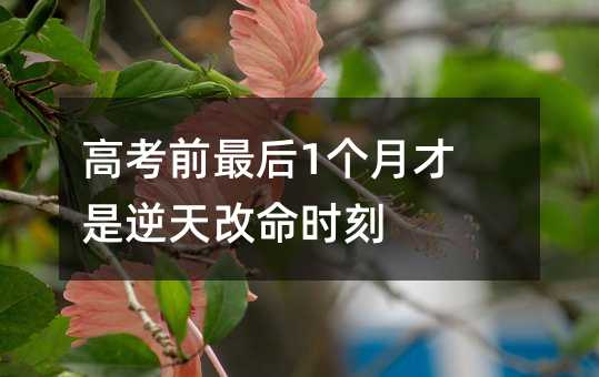高考前最后1个月才是逆天改命时刻