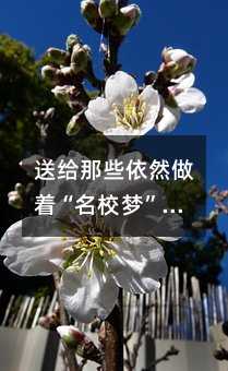 送给那些依然做着“名校梦”的家长们