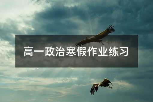 高一政治寒假作业练习