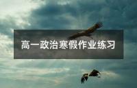 高一政治寒假作业练习