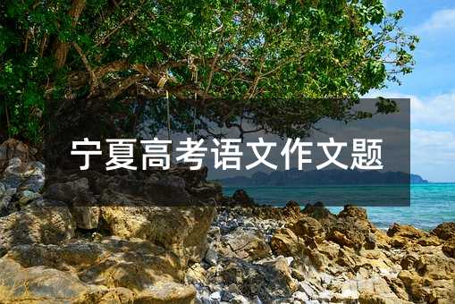 宁夏高考语文作文题