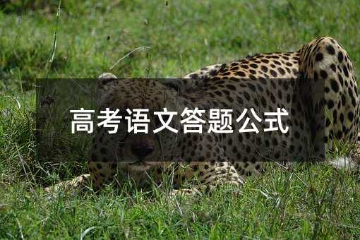 高考语文答题公式