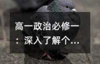 高一政治必修一：深入了解个人收入分配原则