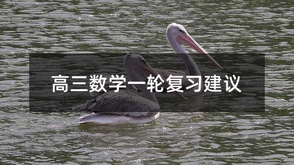 高三数学一轮复习建议