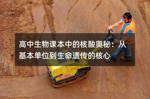 高中生物课本中的核酸奥秘:从基本单位到生命遗传的核心