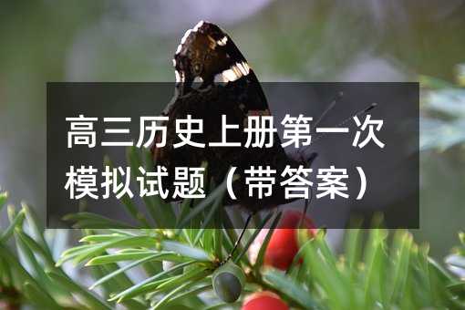高三历史上册第一次模拟试题(带答案)