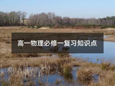高一物理必修一复习知识点