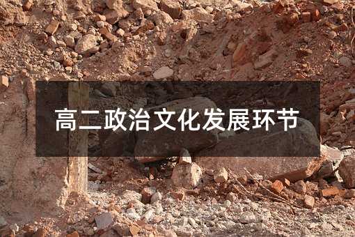 高二政治文化发展环节