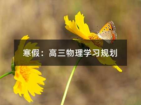 寒假:高三物理学习规划