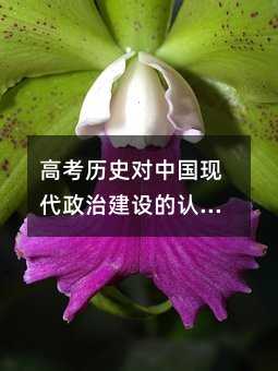 高考历史对中国现代政治建设的认识答题技巧