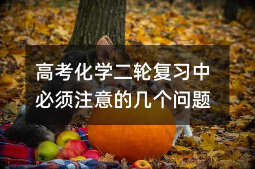 高考化学二轮复习中必须注意的几个问题