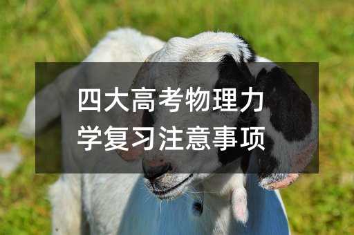 四大高考物理力学复习注意事项