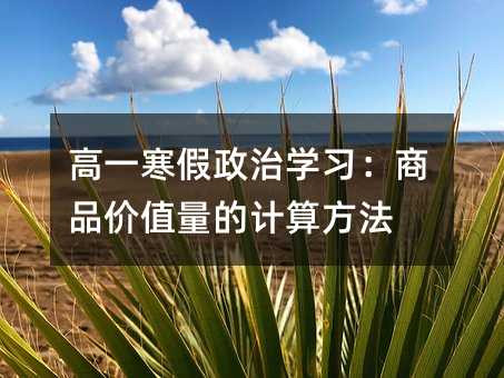 高一寒假政治学习:商品价值量的计算方法