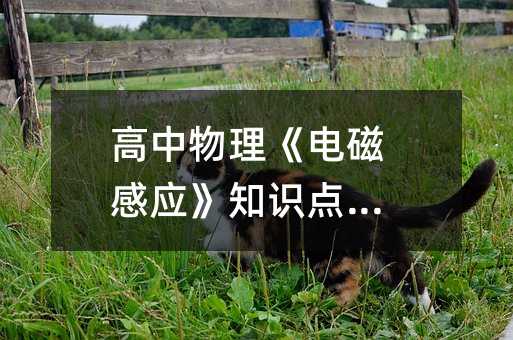 高中物理《电磁感应》知识点总结