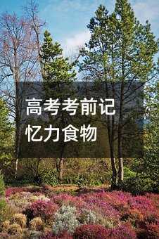 高考考前记忆力食物