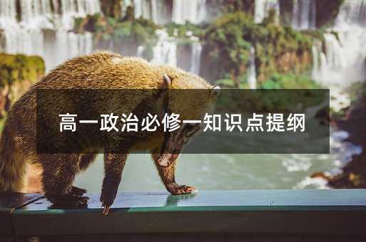 高一政治必修一知识点提纲