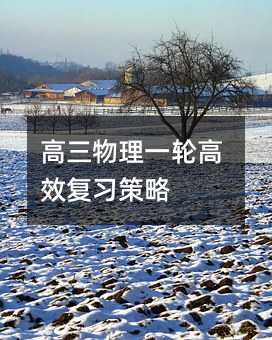 高三物理一轮高效复习策略