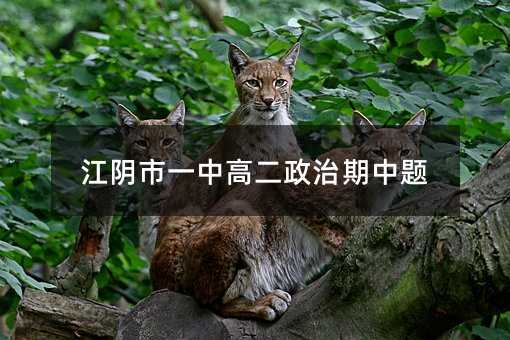 江阴市一中高二政治期中题