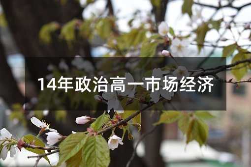 14年政治高一市场经济
