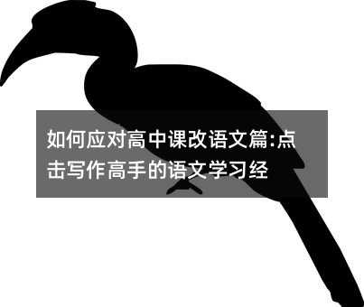 如何应对高中课改语文篇:点击写作高手的语文学习经