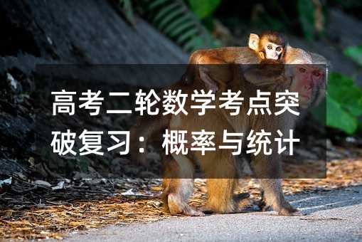 高考二轮数学考点突破复习:概率与统计