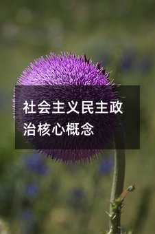 社会主义民主政治核心概念
