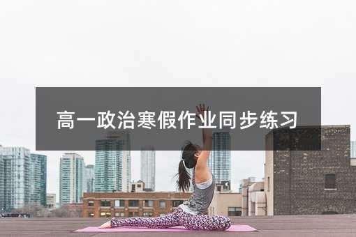 高一政治寒假作业同步练习