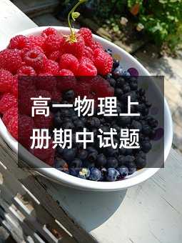 高一物理上册期中试题